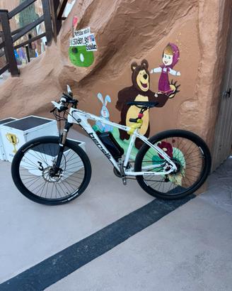 Benelli aschle 29 pollici ruote