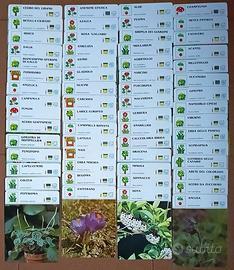 60 SCHEDE DIFFERENTI FIORI E PIANTE DE AGOSTINI