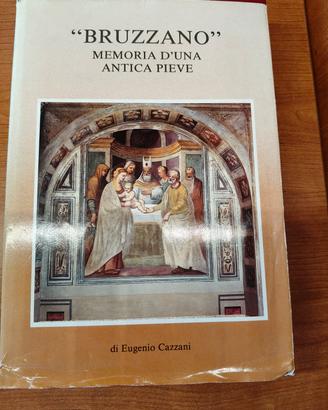 Libro BRUZZANO di Eugenio Cazzani 