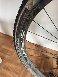 MTB OLYMPIA FX1