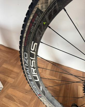 MTB OLYMPIA FX1
