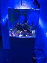 Acquario aqpet 50x50 completo