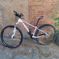 MTB Carraro XRP 29ER