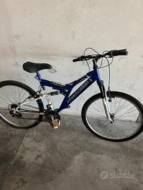 Due biciclette
