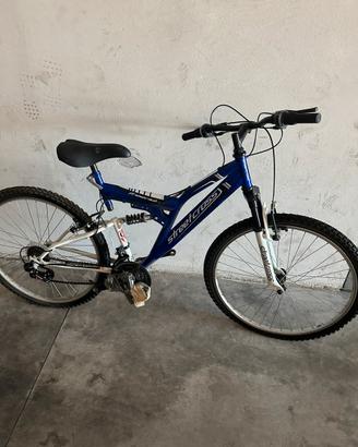 Due biciclette