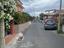 Immagine 17