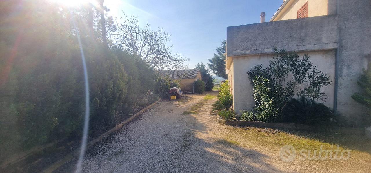 Rustico a Città Sant'Angelo (PE) - Cipressi - Vista 4