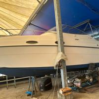 BARCA A MOTORE FOUR WINNS 258 VISTA
