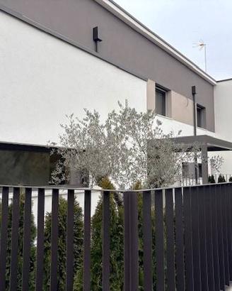 Mogliano Porzione di trivilla in classe A4