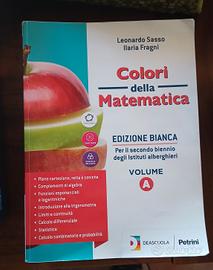 libro matematica  scuola superiore 
