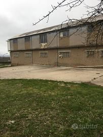 Capannone con ampio terreno - Ronciglione (VT)