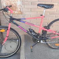 Bicicletta MTB Bianchi