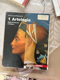 Libro arte