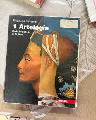 Libro arte