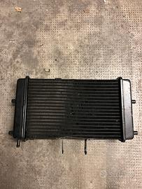 radiatore caballero flat track 125