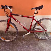 Specialize taglia 17