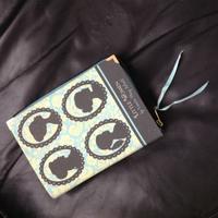 Book Clutch by Ps Besitos Little Women