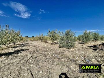 Terreno di 180000 m² a Campobello di Licata