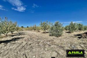 Terreno di 180000 m² a Campobello di Licata