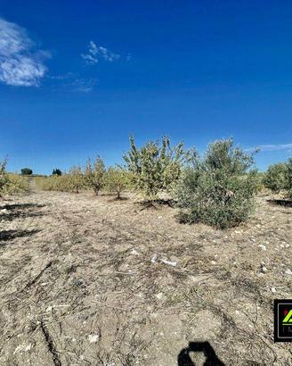 Terreno di 180000 m² a Campobello di Licata