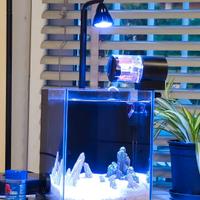 acquario 10 litri Nuovo leggi descrizione 