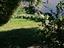 Immagine 10