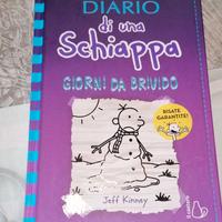 Libro Diario di una schiappa - Giorni da brivido