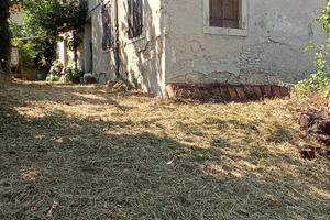Vittorio Veneto, Borgo Olarigo, mq 280