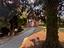 Immagine 18