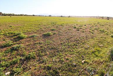 Terreni ad Elmas vicino aereoporto