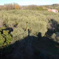 Terreno fronte strada via della caranella velletri