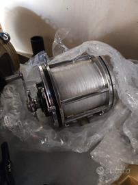 mulinello penn senator 6:0