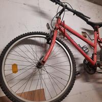 Bicicletta mountain bike