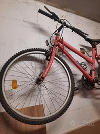 Bicicletta mountain bike