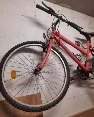 Bicicletta mountain bike