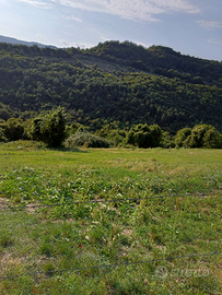 Terreno agricolo sant'anna d'alfaedo