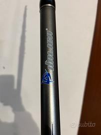 Canna da pesca Italica palamita 5 metri