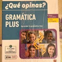Que opinas Gramatica plus