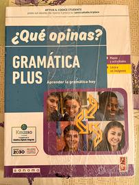 Que opinas Gramatica plus