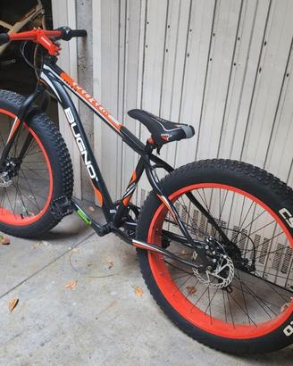 bici Fite bite