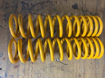 Molle Ohlins
