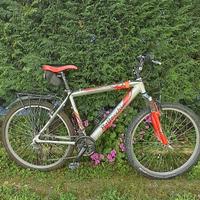 MTb  Bottecchia