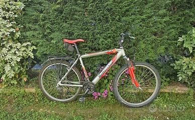 MTb  Bottecchia