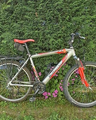 MTb  Bottecchia