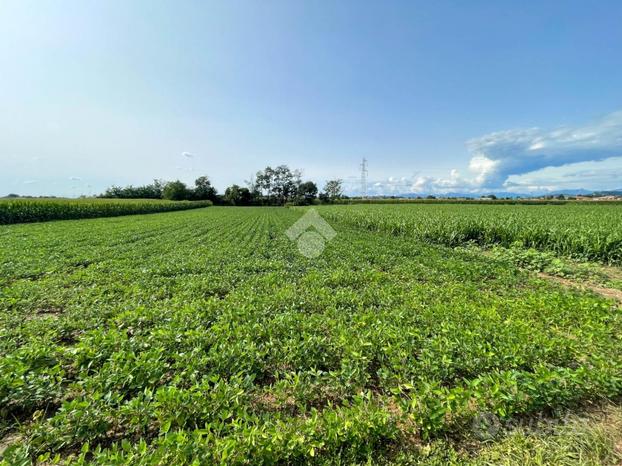 TER. AGRICOLO A CASATENOVO