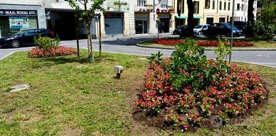 centro storico