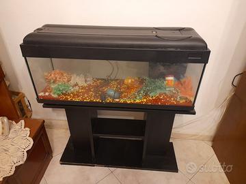 Acquario