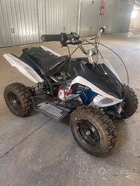 mini quad 3000w