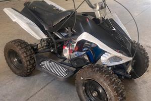 mini quad 3000w