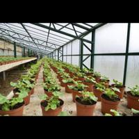 Attrezzature da lavoro serre